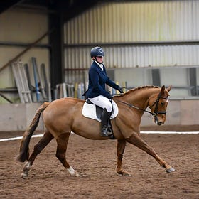 Winter Dressage winners at Laurel View