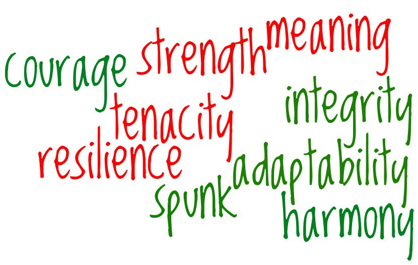 christmas courage rev