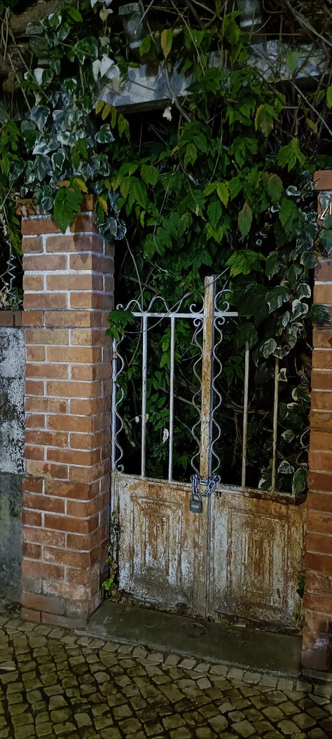 A night stroll through a Portuguese village