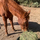 Surviving Healthcare