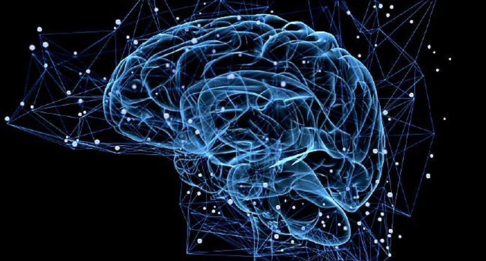 The Elephant In The Room: Why Protecting Your Mental Health Will Be CRUCIAL To Your Survival Moving Forward