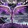 My Dragon's Wings