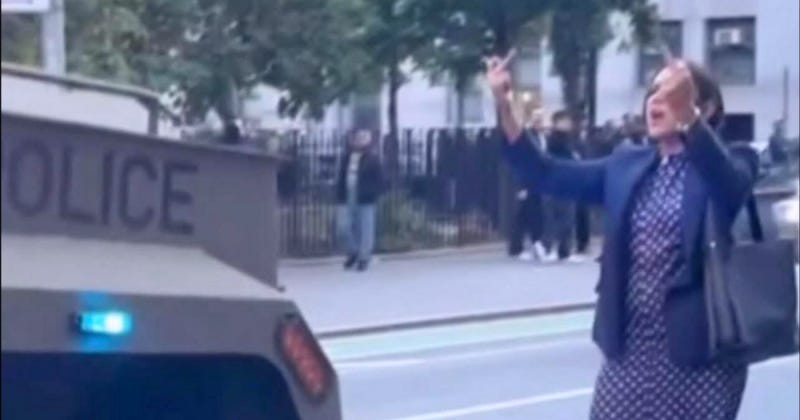 Chaotic ICE Fight Goes Viral in Blue State - Newswize