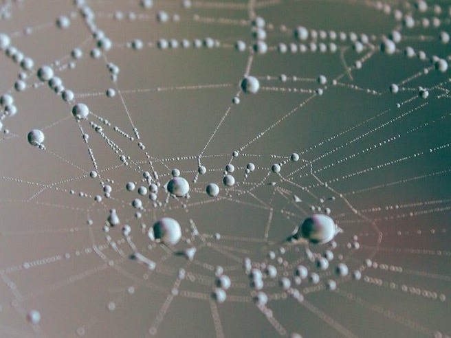 a close up of a spider web on a window a close up of a spider web on a window