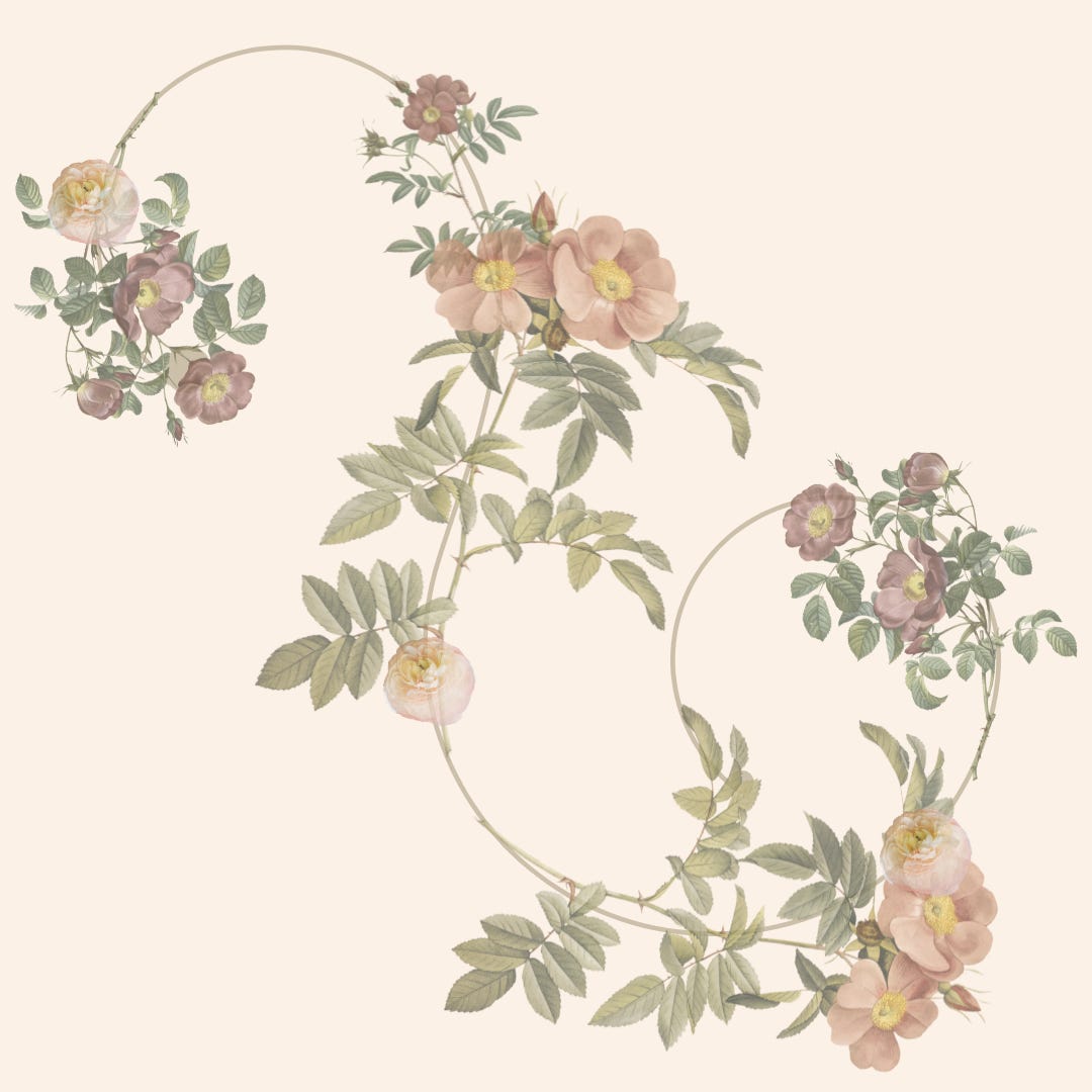 Victoria’s Notebook