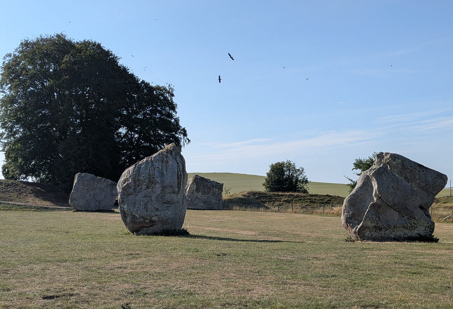 The trees closer up, with large standing stones in the foreground, and birds circling overhead.