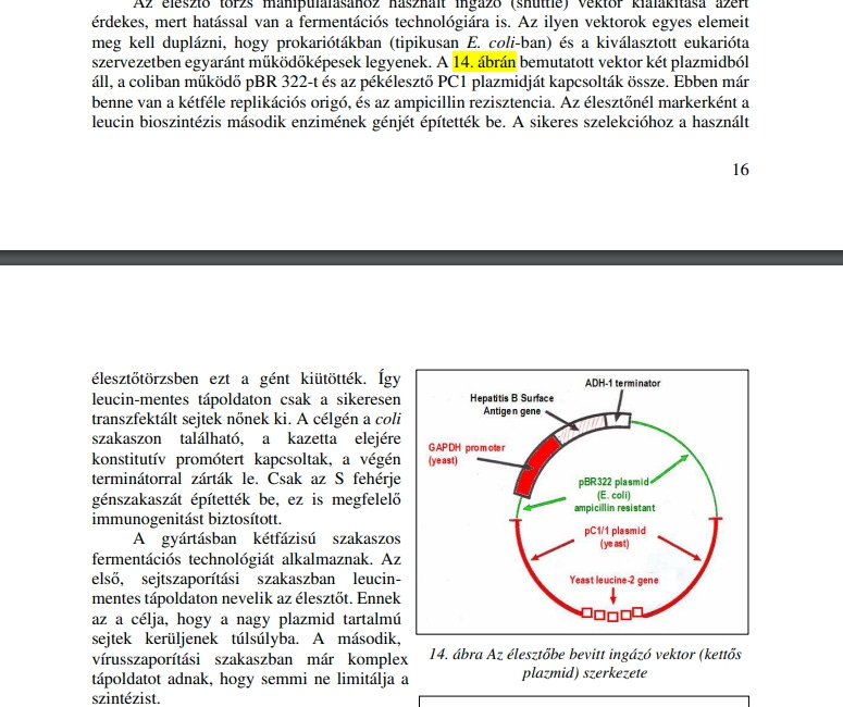 Még egy kicsit az Engerix B-ről - kötelező iskolai "kampányoltás" hetedikeseknek