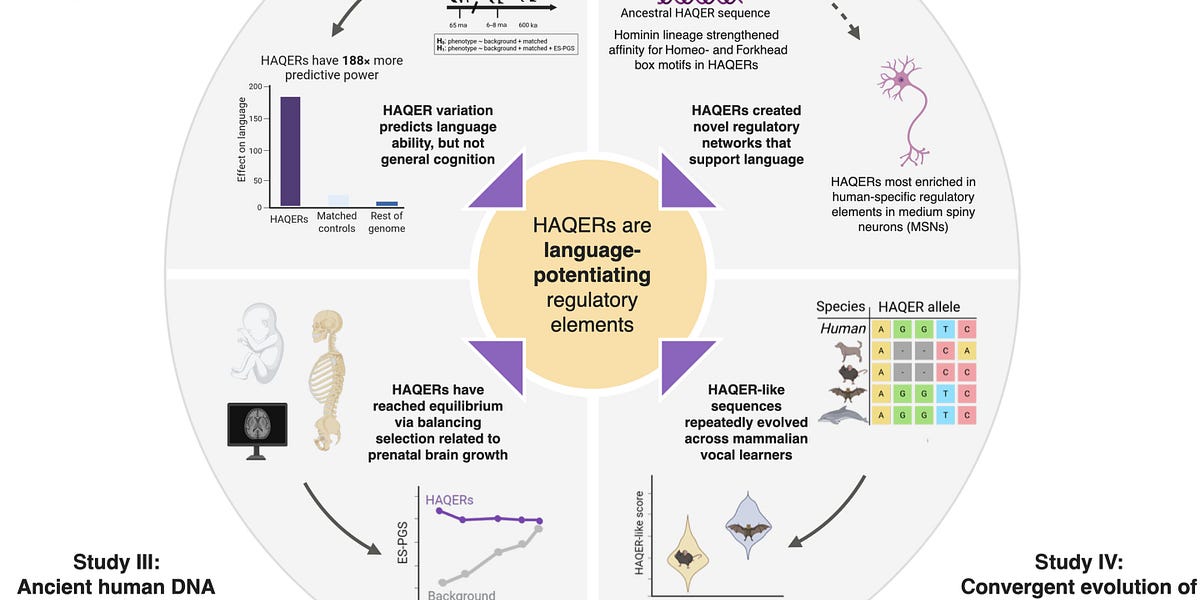 The Ancient Switches Behind Human Language