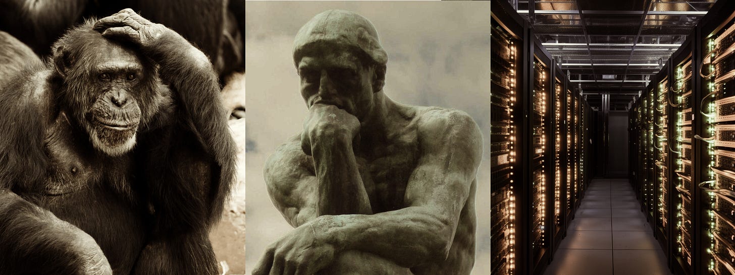 Triptych of a chimp with hand on head then Rodin's statue the Thinker then a long hall of computer servers