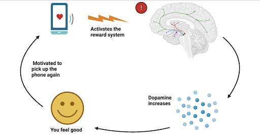 Social media and dopamine: why you can't stop scrolling — MiNDS