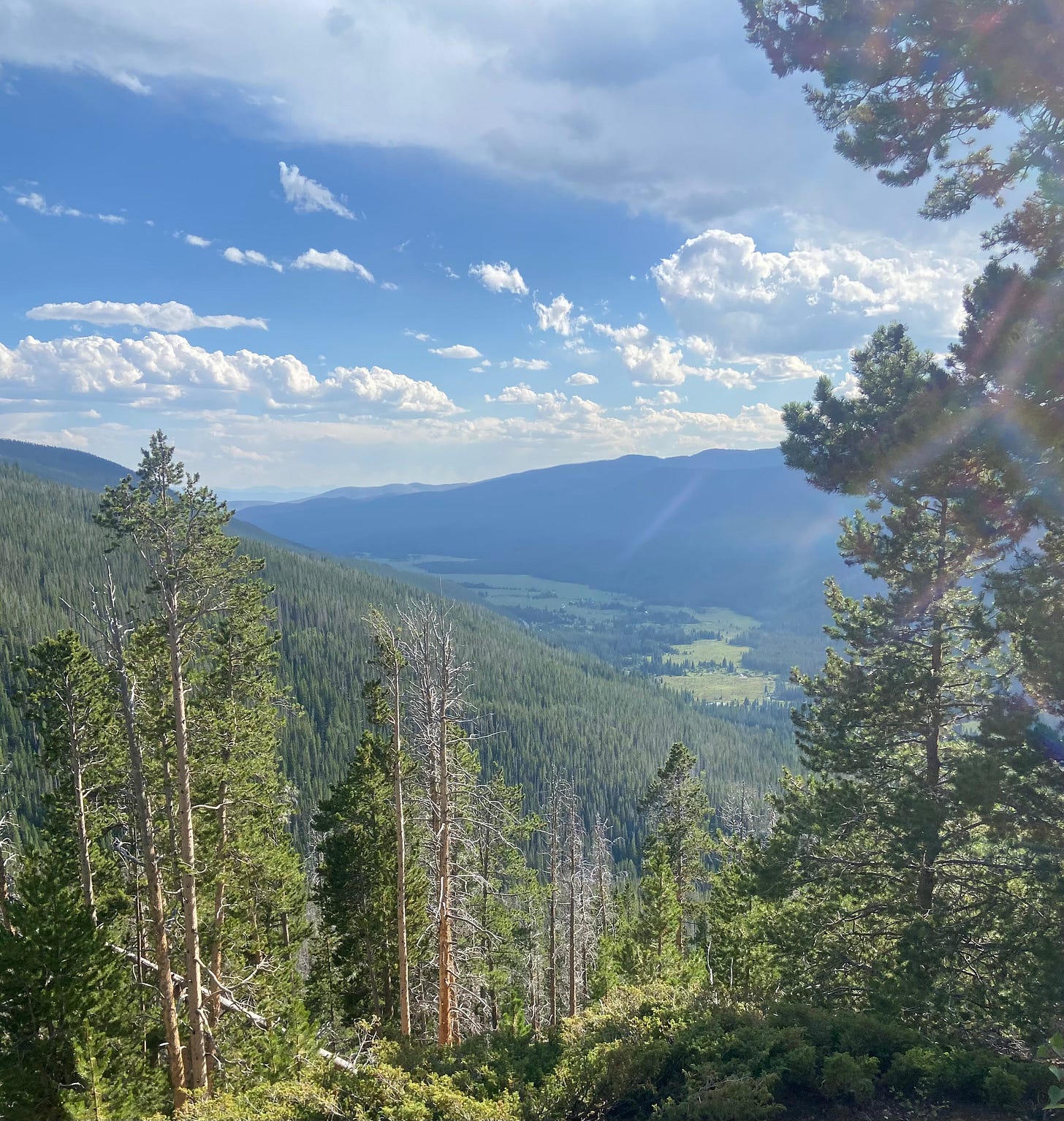 Mountain View with blue sky, clouds, and green trees