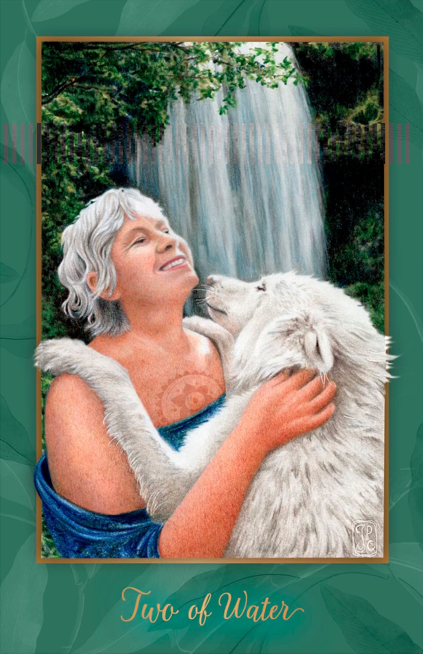 Gaian Tarot Two of Water. Art by JPC.