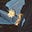 سَـدف's avatar