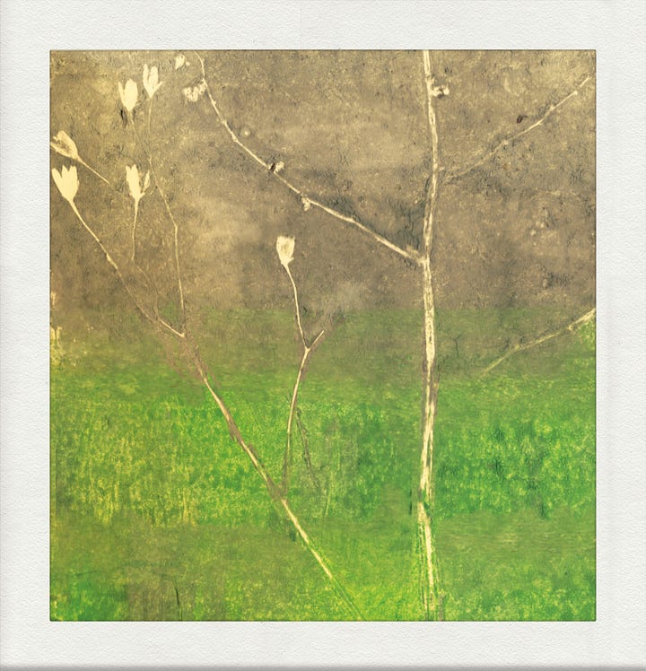 Photo of Mosaicist and his new album cover