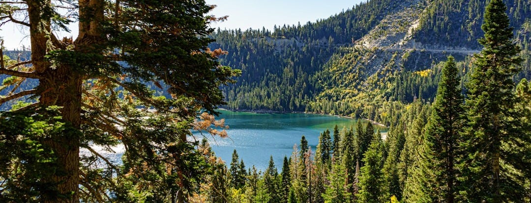 body of water near forest and mountains