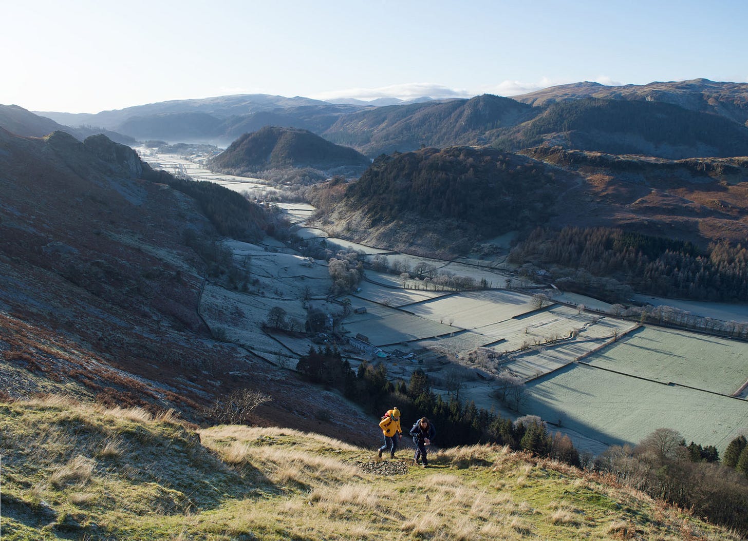 green path, frosted valley below