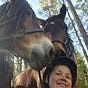 The Heard Horse's avatar