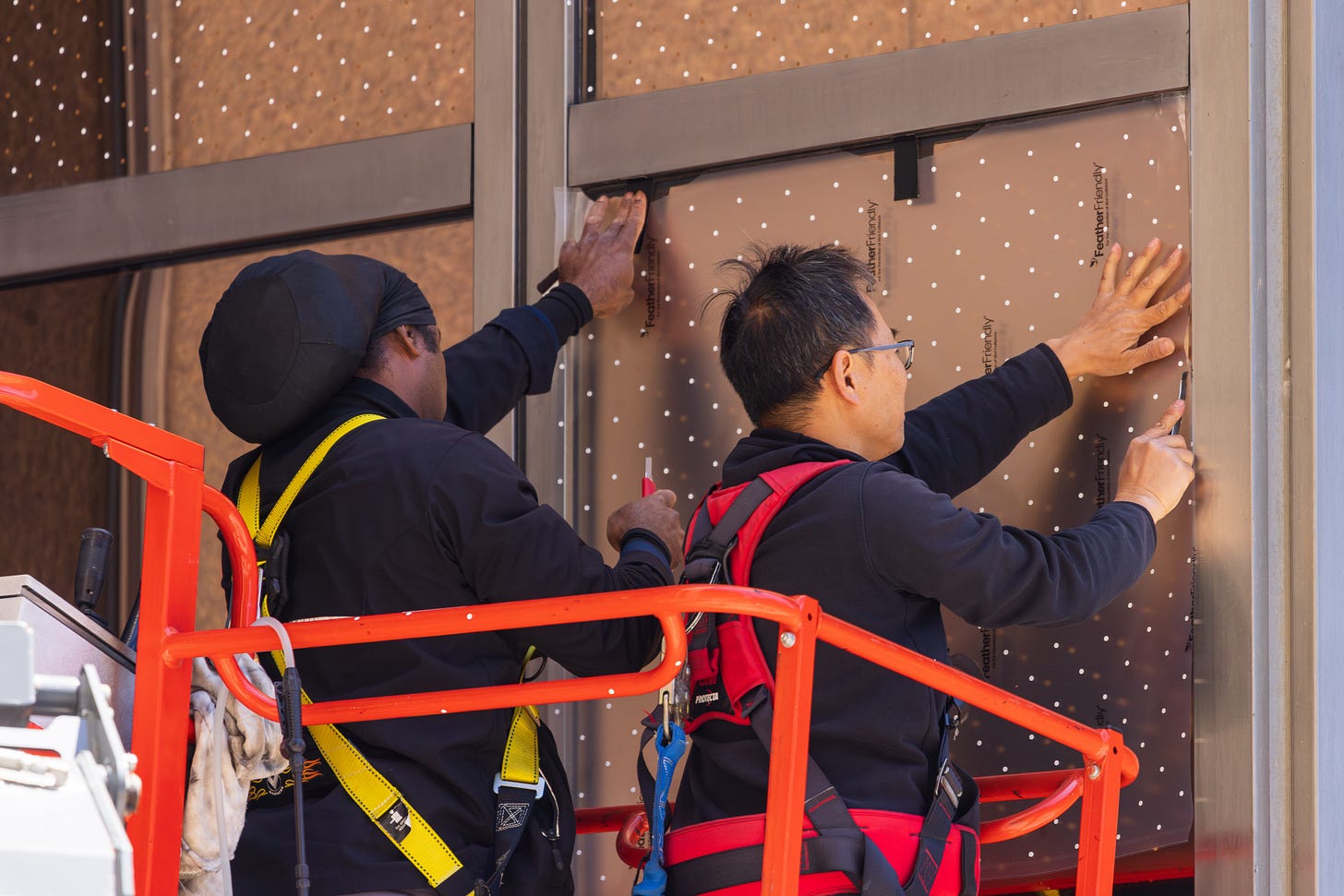 Two men install Feather Friendly decals on glass to prevent bird collisions