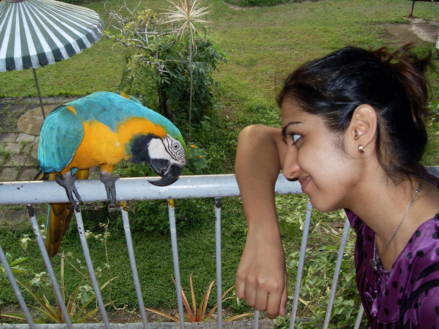 Beaks, beans, and EQ -Raksha Daryanani Thani Substack