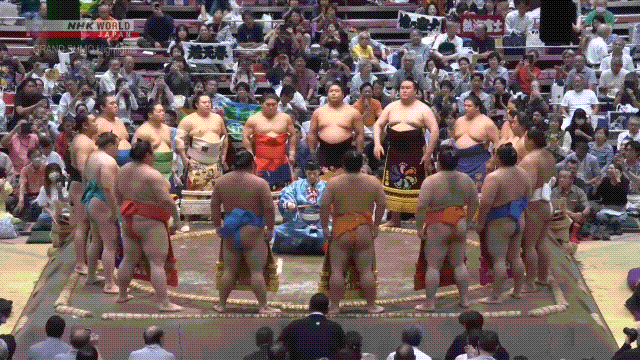 Sumo Stomp! | Tim Edwards | Substack