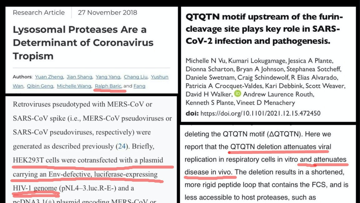 Even More Proof that the DEATHVAX™ Causes VAIDS