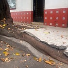 La elocuencia de lo mínimo