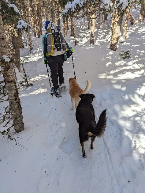Pictures of Liz, Seth, and the dogs hiking snow-covered mountains