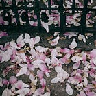 A disconnected walk. April’s a trickster. Life, in fragments.