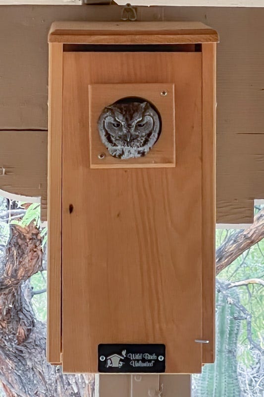 20260406-MBY-Edit.jpg 20260406-MBY-Edit.jpg