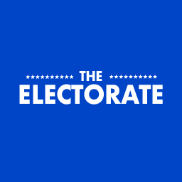 Substack profile picture for @electorate