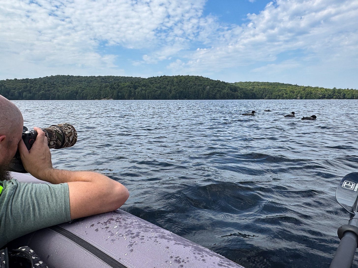 Luciano fotografando mergulhões de um bote Luciano fotografando mergulhões de um bote