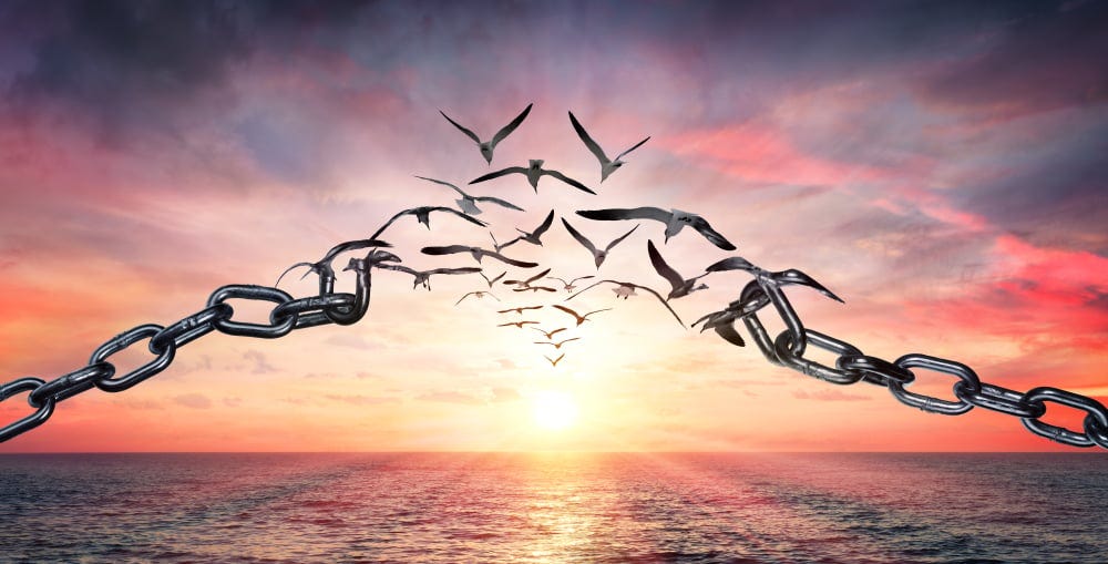 Forgiveness and freedom