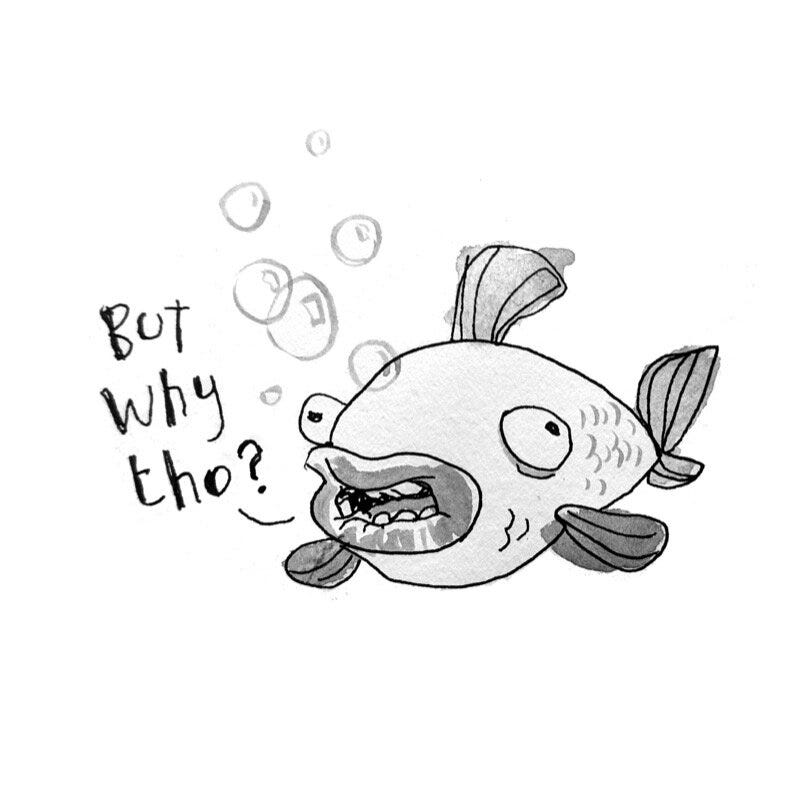 why+fish.jpg why+fish.jpg