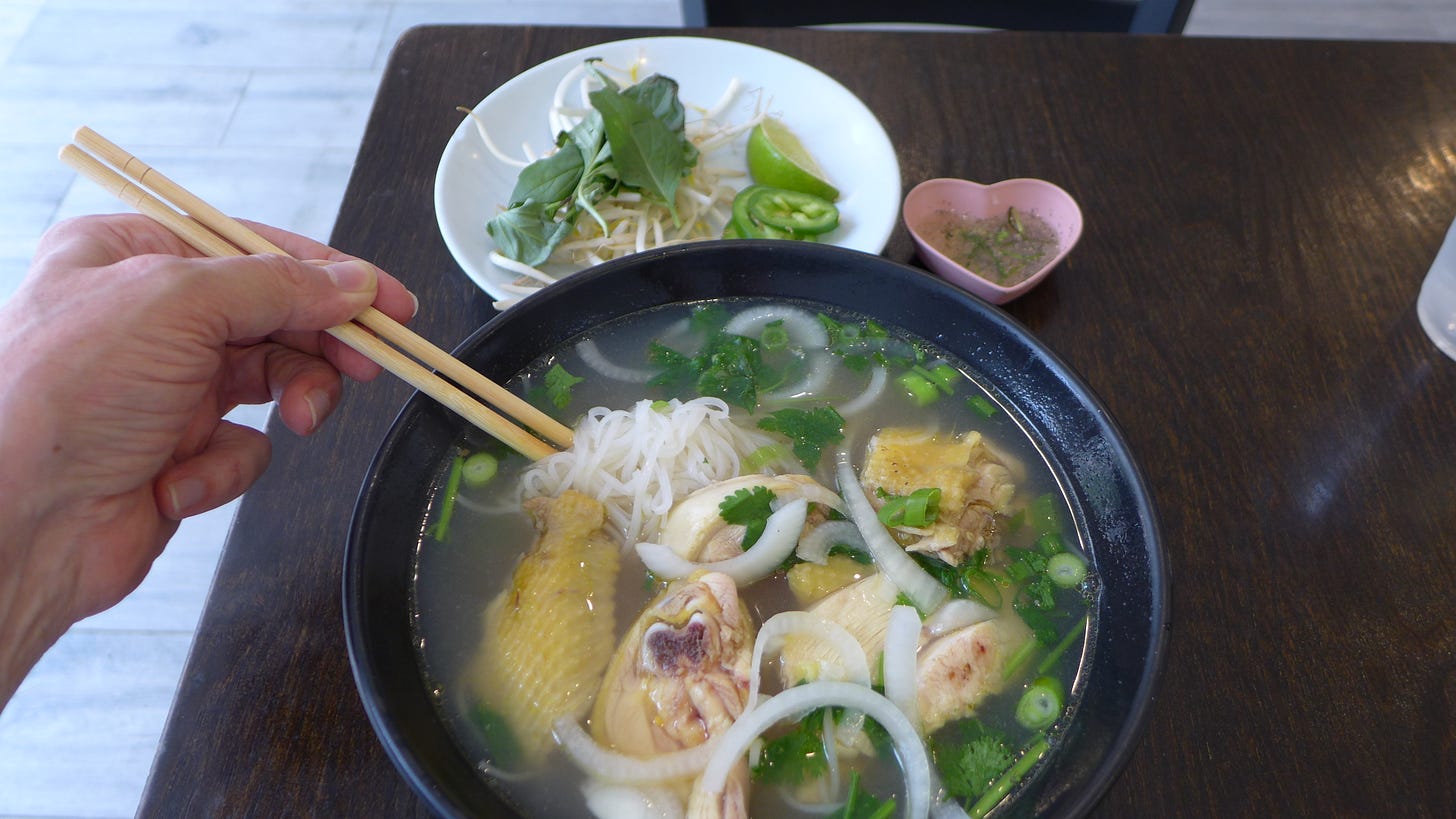 A bowl of noodle soup with plate of sprouts and herbs behind it.