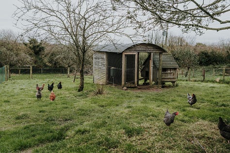 Photos of shepherd huts at Dimpsey by Kate Cullen photography