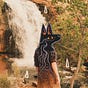 PINEBONES ✷ Holls Walck's avatar