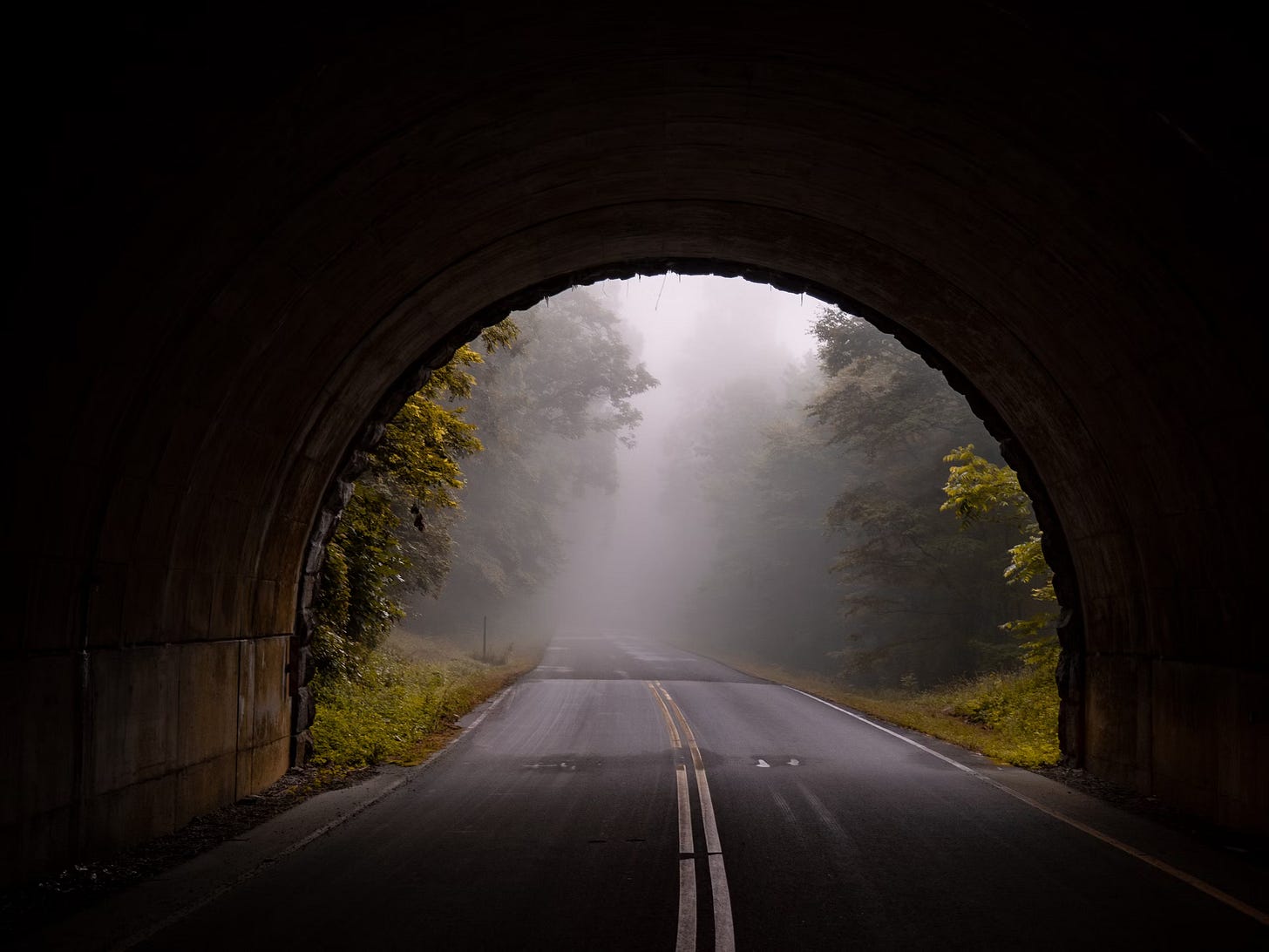 A tunnel opens into a mist covered road flanked by trees.