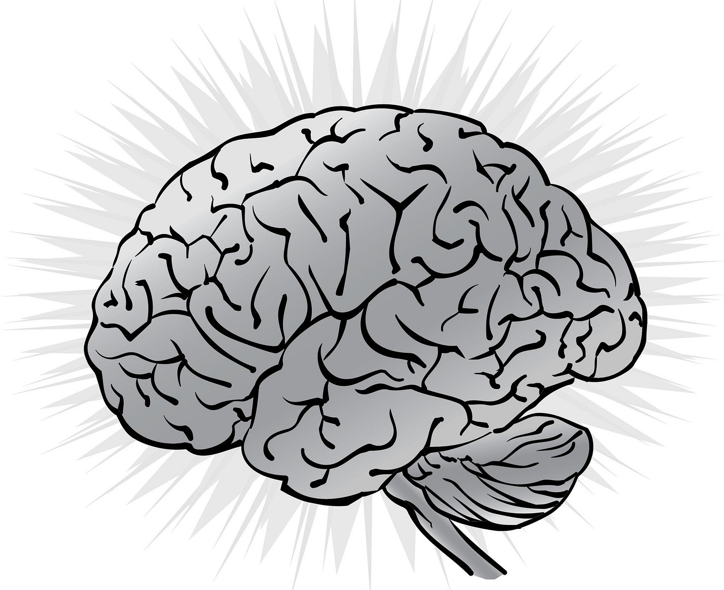 Brain   Grayscale (Provided by Getty Images)