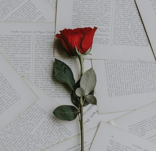 red rose on book sheets