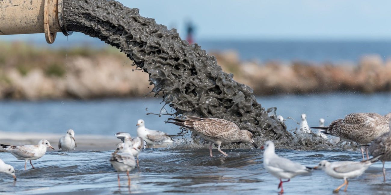 Why a Blades-Owls merger makes sense to people who hate beautiful things