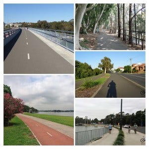 Track Surfaces around Iron Cove Track Surfaces around Iron Cove