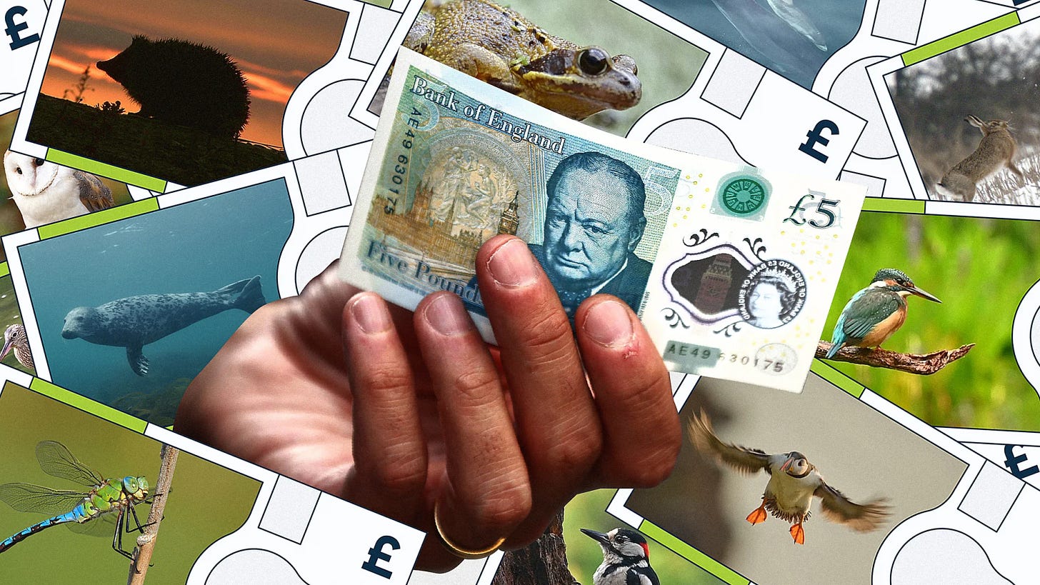 The U.K.’s next banknotes might feature cute foxes and prismatic butterflies