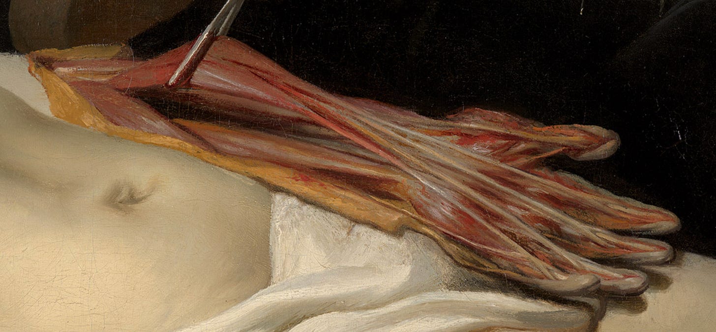 A dissection instrument lifts a portion of the exposed pink and red muscle tissue, orange fat, and white sinews of the corpse's left forearm, above the "R" in the corpse's navel.