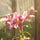 Confessions of a wallflower