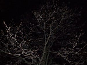 night prayer