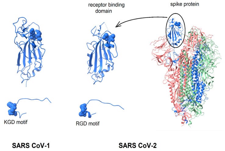 An external file that holds a picture, illustration, etc.
Object name is viruses-13-00146-g001.jpg
