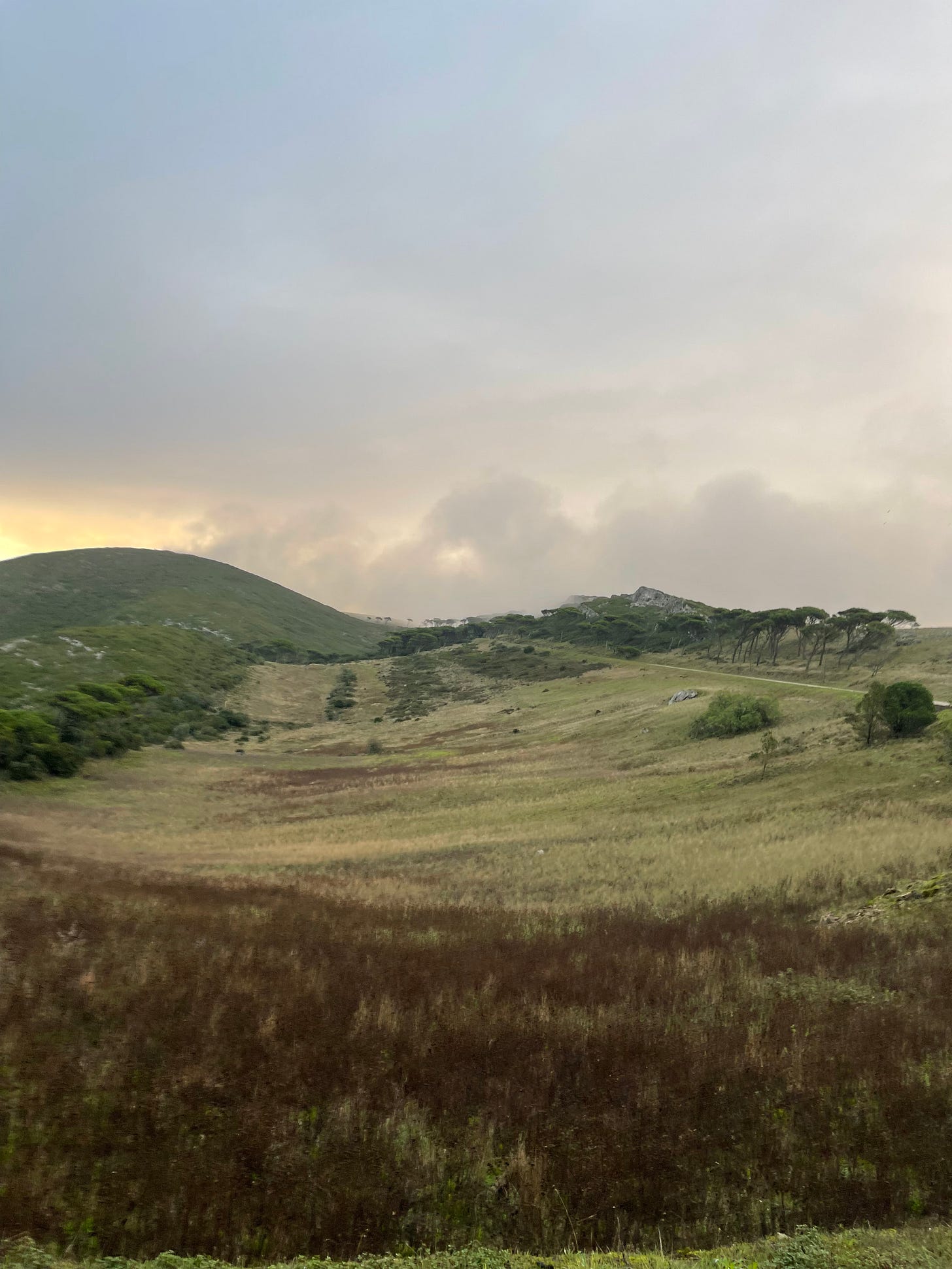 IMG_5592.jpeg