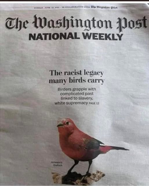 May be an image of text that says 'IN SUNDAY, JUNE 13 2021 WITH Che Virginian- The Washington post NATIONAL WEEKLY The racist legacy many birds carry Birders grapple with complicated past linked to slavery white supremacy PAGE 12'