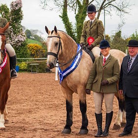 First class ground for Annual May Day Show at Lusk Equestrian