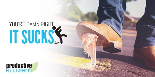 Sometimes we all just need to hear "you're damn right it sucks." | Productive Flourishing https://productiveflourishing.com/wp-content/uploads/2010/08/Itsucks.jpg